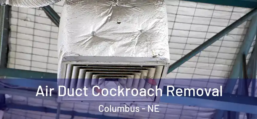 Air Duct Cockroach Removal Columbus - NE