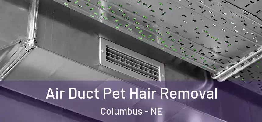  Air Duct Pet Hair Removal Columbus - NE