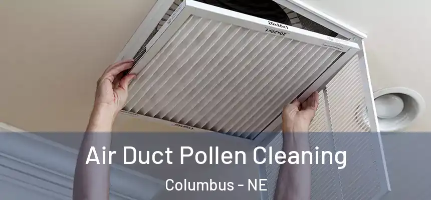 Air Duct Pollen Cleaning Columbus - NE