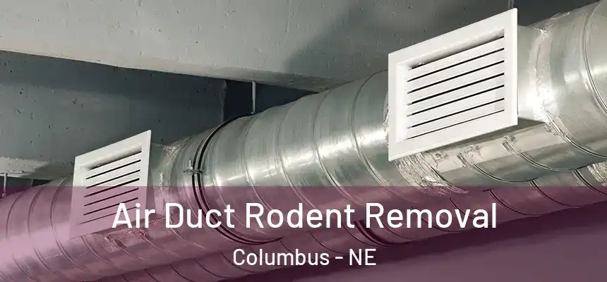 Air Duct Rodent Removal Columbus - NE
