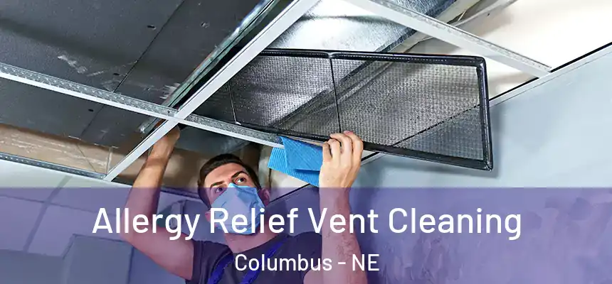 Allergy Relief Vent Cleaning Columbus - NE