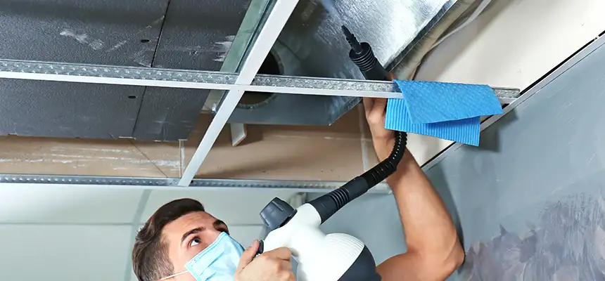 Our Air Duct Rodent Removal Services in Columbus, NE
