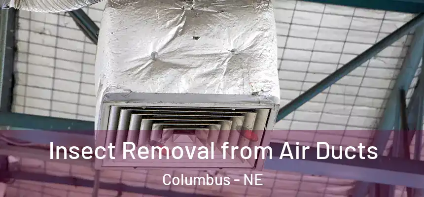  Insect Removal from Air Ducts Columbus - NE