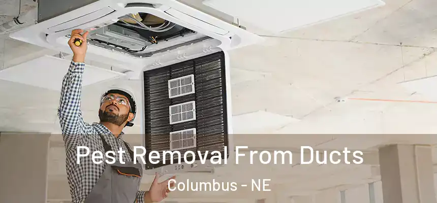 Pest Removal From Ducts Columbus - NE