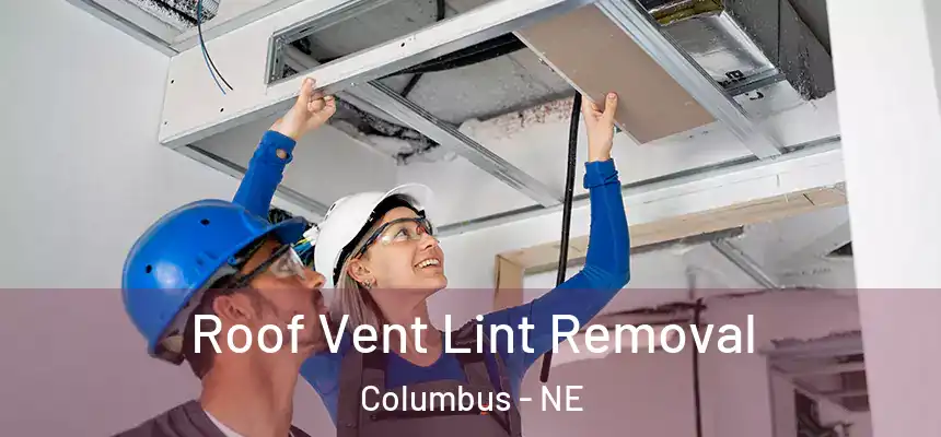  Roof Vent Lint Removal Columbus - NE