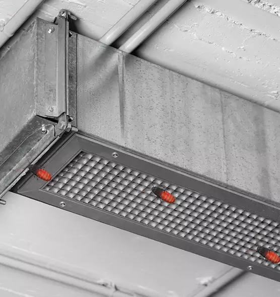 About Air Duct Cockroach Removal in Columbus, NE