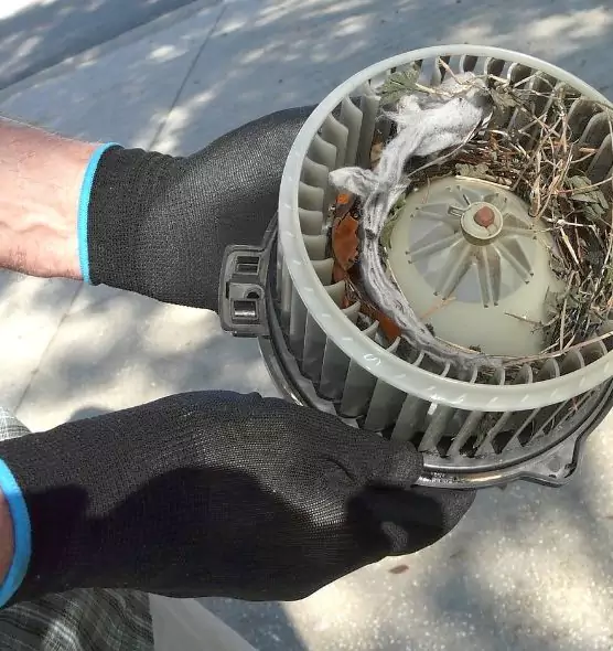 About Air Duct Mice Removal in Columbus, NE