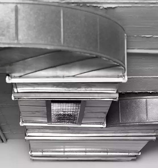 Professional Air Duct Pest Removal in Columbus, NE