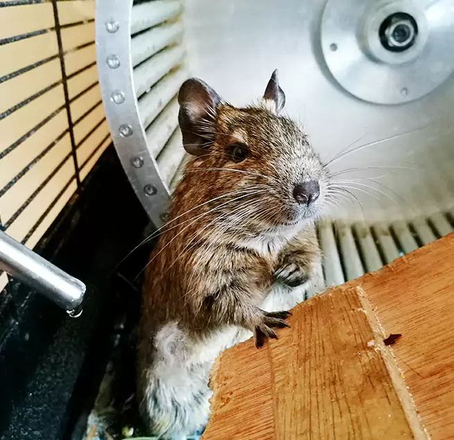 Why Homeowners & Businesses Trust Us Columbus, NE